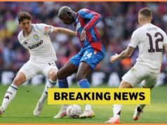 Aston Villa dan Crystal Palace ingin mendatangkan Arijon Ibrahimovic
