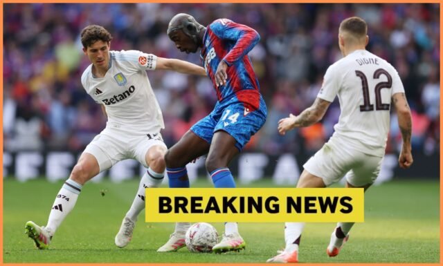 Aston Villa dan Crystal Palace ingin mendatangkan Arijon Ibrahimovic