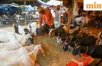 Bakri Idul Fitri 2026: Kantor pemerintah Delhi tetap tutup pada 28 Mei; periksa apa yang buka dan tutup untuk liburan Idul Adha