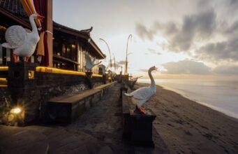 Desa Swan Villas & SPA Keramas: liburan keluarga di Pantai Timur