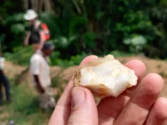 Hilang selama 150.000 tahun: penemuan hutan tropis mengubah sejarah umat manusia