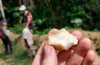 Hilang selama 150.000 tahun: penemuan hutan tropis mengubah sejarah umat manusia
