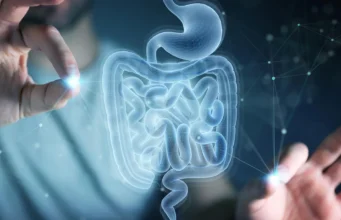 Ilmuwan MIT menemukan asam amino yang membantu usus menyembuhkan dirinya sendiri