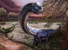 Ilmuwan Menemukan Dinosaurus Raksasa ‘Titan Terakhir’, Terbesar di Asia Tenggara yang Pernah Dilihat