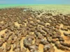 Kawah asteroid kuno mungkin telah memicu kehidupan penghasil oksigen di Bumi