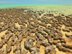 Kawah asteroid kuno mungkin telah memicu kehidupan penghasil oksigen di Bumi
