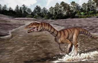 Kerabat aneh buaya Trias ini tampak seperti dinosaurus burung unta
