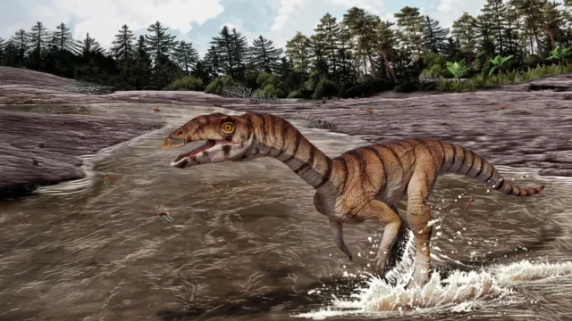 Kerabat aneh buaya Trias ini tampak seperti dinosaurus burung unta