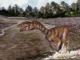 Kerabat aneh buaya Trias ini tampak seperti dinosaurus burung unta