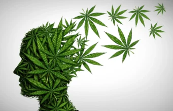 Studi Besar-besaran Mengaitkan Penggunaan Ganja Remaja dengan Menggandakan Risiko Penyakit Mental Serius