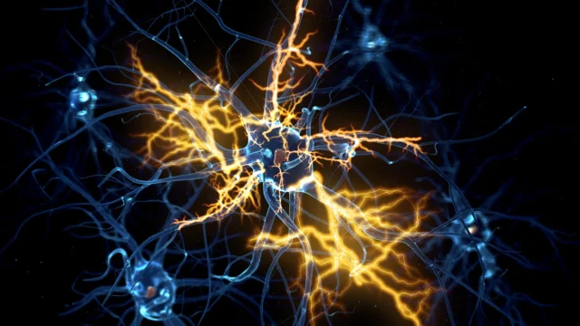 Organoid manusia mengungkap cara membalikkan kerusakan saraf yang 'ireversibel'