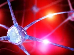 Para ilmuwan menemukan kekurangan nutrisi tersembunyi di otak yang dapat memicu kecemasan