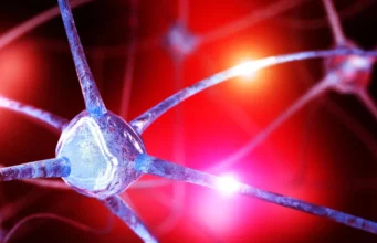 Para ilmuwan menemukan kekurangan nutrisi tersembunyi di otak yang dapat memicu kecemasan