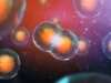 Para ilmuwan menemukan mengapa beberapa sel dengan DNA ganda menolak mati