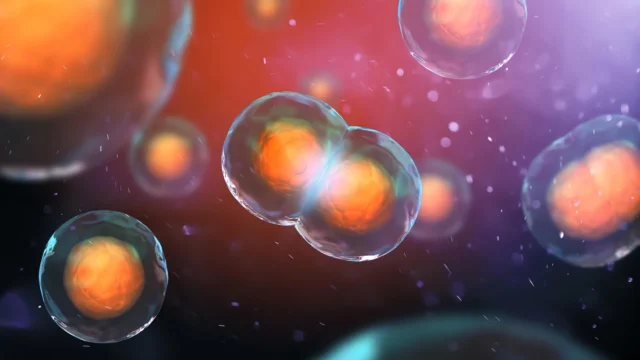 Para ilmuwan menemukan mengapa beberapa sel dengan DNA ganda menolak