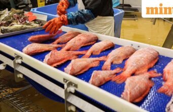 UE dan Vietnam mendorong ekspor makanan laut India ke rekor tertinggi seiring dengan penarikan diri AS