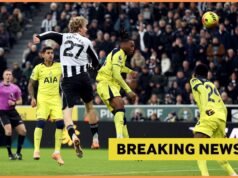 Tottenham dan Newcastle tertarik pada Evan Ndicka