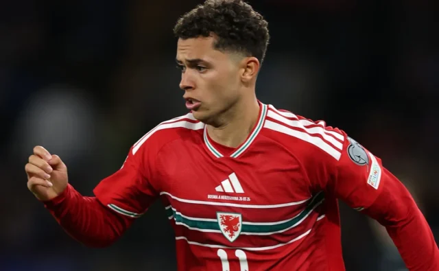 Alasan Wales gagal lolos ke Piala Dunia 2026
