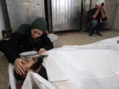 Anggota dewan CPJ dicopot saat dia memulai penyelidikan terhadap jurnalis yang terbunuh di Gaza