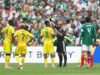 Bisakah Bafana tetap hidup tanpa Themba Zwane?
