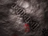 DNA purba yang dimiliki Neanderthal dapat menjelaskan bahasa manusia