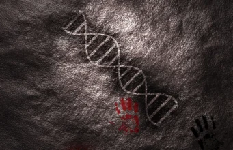 DNA purba yang dimiliki Neanderthal dapat menjelaskan bahasa manusia
