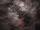 DNA purba yang dimiliki Neanderthal dapat menjelaskan bahasa manusia