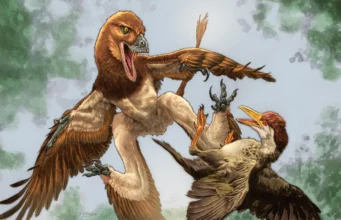 Dinosaurus bersayap empat ini akan meneror burung pertama di Bumi