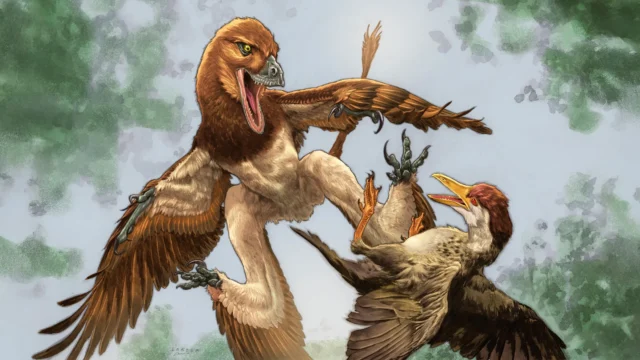 Dinosaurus bersayap empat ini akan meneror burung pertama di Bumi