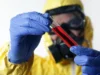Ebola dan Hantavirus bisa bermula seperti flu, namun bisa mematikan dengan cepat