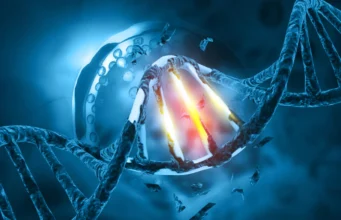 Mengapa kerusakan DNA yang sama menyebabkan kanker pada beberapa orang namun tidak pada orang lain