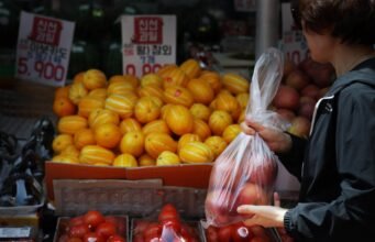 Haruskah Anda makan biji melon? Badan Keamanan Pangan Korea Membantah Mitos Umum