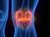 Ilmuwan Stanford menumbuhkan kembali tulang rawan yang hilang dan membalikkan arthritis dalam sebuah terobosan besar