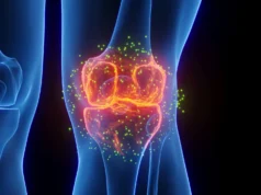 Ilmuwan Stanford menumbuhkan kembali tulang rawan yang hilang dan membalikkan arthritis dalam sebuah terobosan besar