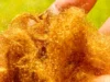 Kain emas legendaris yang hilang selama 2.000 tahun telah kembali
