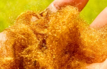 Kain emas legendaris yang hilang selama 2.000 tahun telah kembali