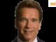 Kutipan hari ini dari Arnold Schwarzenegger: “Kekuatan tidak datang dari…”