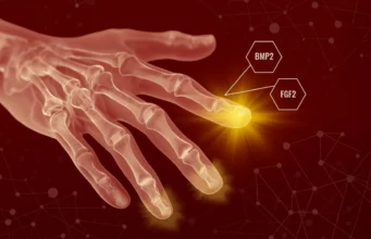 Manusia mungkin memiliki kekuatan regeneratif yang tersembunyi