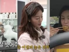 Mengapa bintang K-pop memiliki karier alternatif – mulai dari perawat anjing hingga agen asuransi