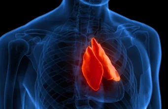 Organ Terlupakan Yang Dapat Memprediksi Berapa Lama Anda Hidup