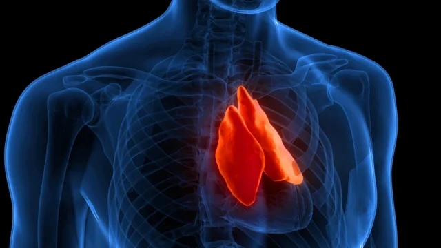 Organ Terlupakan Yang Dapat Memprediksi Berapa Lama Anda Hidup