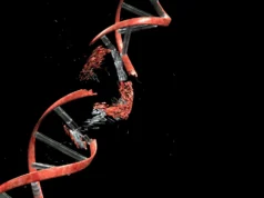 Para ilmuwan menemukan bahwa neuron harus memecah DNA mereka untuk membangun otak
