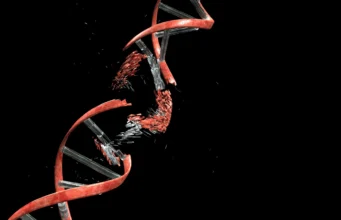 Para ilmuwan menemukan bahwa neuron harus memecah DNA mereka untuk membangun otak