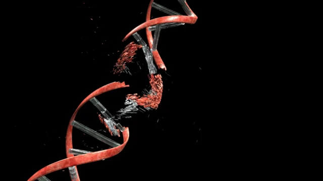 Para ilmuwan menemukan bahwa neuron harus memecah DNA mereka untuk