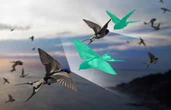 Para ilmuwan telah menemukan cara untuk menjelaskan kawanan burung yang ‘menentang’ hukum ketiga Newton