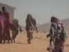 Para korban di Sudan meminta ICC untuk menyelidiki warga Emirat atas kekejaman RSF di El-Fasher