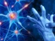 Pestisida umum dikaitkan dengan risiko penyakit Parkinson lebih dari dua kali lipat