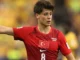 Piala Dunia 2026: Berapa peringkat dunia FIFA Turkiye saat ini?