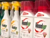Salah satu obat pembasmi gulma paling populer di dunia dapat memicu bakteri super yang mematikan