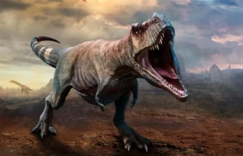 T. rex membutuhkan waktu 40 tahun untuk mencapai ukuran maksimalnya, kata para ilmuwan